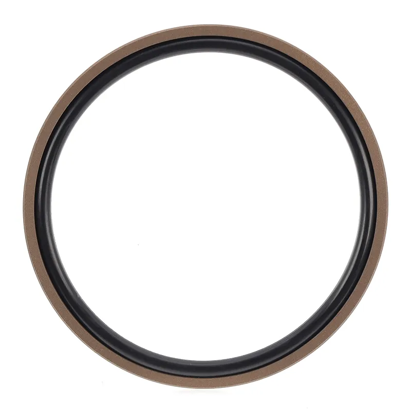 Glyd Ring Seal